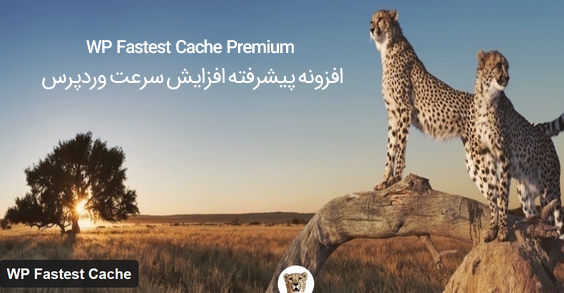 افزونه افزایش سرعت وردپرس WP Fastest Cache Premium 