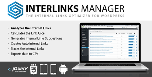 افزونه لینک داخلی Interlinks Manager وردپرس