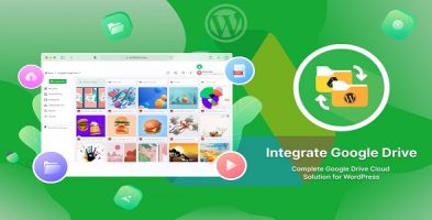 Integrate Google Drive