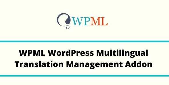 افزونه مدیریت ترجمه چندزبانه در وردپرس  WPML Translation Management Addons نسخه 2.10.8