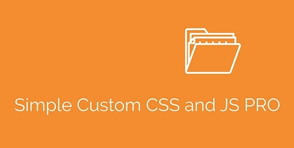 افزونه حرفه‌ای افزودن کدهای CSS و JavaScript سفارشی Simple Custom CSS and JS PRO نسخه 4.41.1
